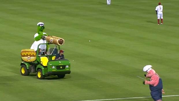 Phillie Phanatic pelts pig 